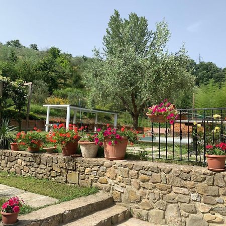 Guest House Torre Guelfa, Vinsantaia Figline Valdarno Esterno foto